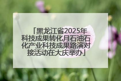 黑龙江省2025年科技成果转化月石油石化产业科技成果路演对接活动在大庆举办