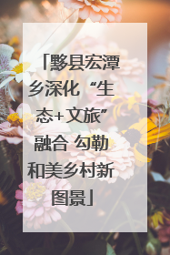 黟县宏潭乡深化“生态+文旅”融合 勾勒和美乡村新图景