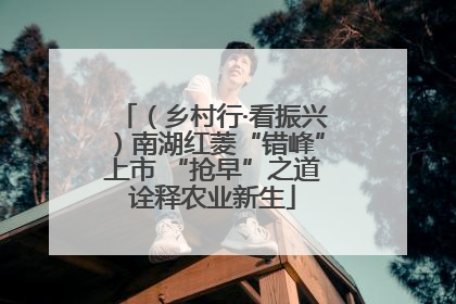 （乡村行·看振兴）南湖红菱“错峰”上市 “抢早”之道诠释农业新生