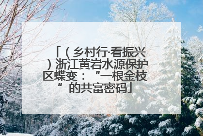 （乡村行·看振兴）浙江黄岩水源保护区蝶变：“一根金枝”的共富密码