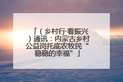 （乡村行·看振兴）通讯：内蒙古乡村公益岗托底农牧民“稳稳的幸福”