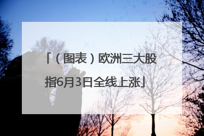 （图表）欧洲三大股指6月3日全线上涨