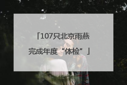 107只北京雨燕完成年度“体检”