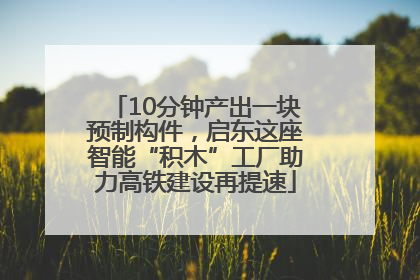 10分钟产出一块预制构件，启东这座智能“积木”工厂助力高铁建设再提速