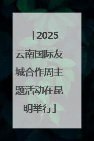 2025云南国际友城合作周主题活动在昆明举行