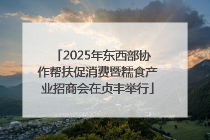 2025年东西部协作帮扶促消费暨糯食产业招商会在贞丰举行