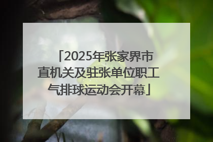 2025年张家界市直机关及驻张单位职工气排球运动会开幕