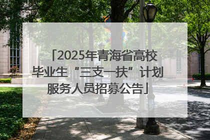 2025年青海省高校毕业生“三支一扶”计划服务人员招募公告