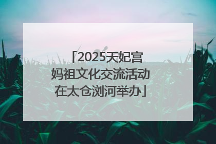 2025天妃宫妈祖文化交流活动在太仓浏河举办