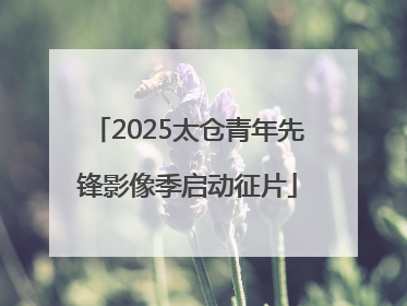 2025太仓青年先锋影像季启动征片