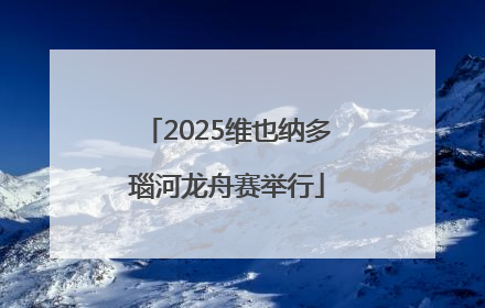 2025维也纳多瑙河龙舟赛举行