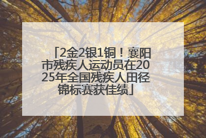 2金2银1铜！襄阳市残疾人运动员在2025年全国残疾人田径锦标赛获佳绩