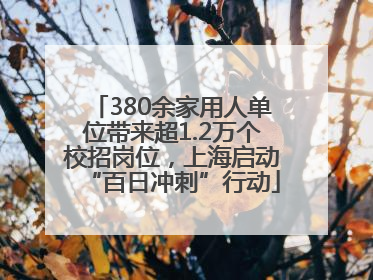 380余家用人单位带来超1.2万个校招岗位，上海启动“百日冲刺”行动