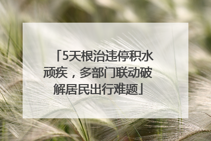 5天根治违停积水顽疾，多部门联动破解居民出行难题