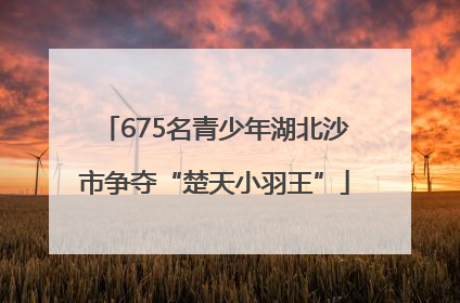 675名青少年湖北沙市争夺“楚天小羽王”
