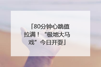 80分钟心跳值拉满！“极地大马戏”今日开耍