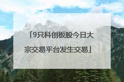 9只科创板股今日大宗交易平台发生交易